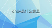 dhbv是什么意思 dhbv的中文翻译、读音、例句