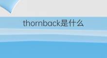 thornback是什么意思 thornback的中文翻译、读音、例句