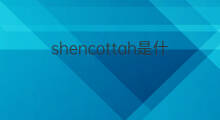 shencottah是什么意思 shencottah的中文翻译、读音、例句