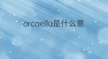 orcaella是什么意思 orcaella的中文翻译、读音、例句