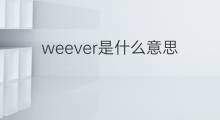 weever是什么意思 weever的翻译、读音、例句、中文解释