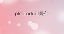 pleurodont是什么意思 pleurodont的翻译、读音、例句、中文解释