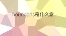 houngans是什么意思 houngans的翻译、读音、例句、中文解释