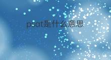 psat是什么意思 psat的翻译、读音、例句、中文解释