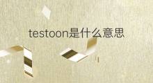 testoon是什么意思 testoon的翻译、读音、例句、中文解释