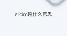 ercim是什么意思 ercim的翻译、读音、例句、中文解释