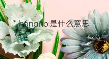 hananoi是什么意思 hananoi的翻译、读音、例句、中文解释