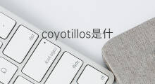 coyotillos是什么意思 coyotillos的翻译、读音、例句、中文解释