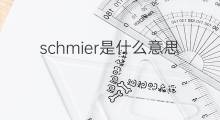 schmier是什么意思 schmier的翻译、读音、例句、中文解释