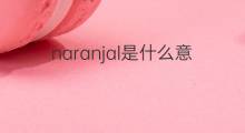 naranjal是什么意思 naranjal的翻译、读音、例句、中文解释