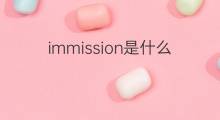 immission是什么意思 immission的中文翻译、读音、例句
