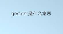 gerecht是什么意思 gerecht的中文翻译、读音、例句
