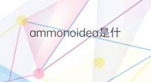 ammonoidea是什么意思 ammonoidea的中文翻译、读音、例句