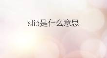 slia是什么意思 slia的中文翻译、读音、例句