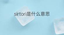 sirtori是什么意思 sirtori的中文翻译、读音、例句