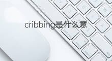 cribbing是什么意思 cribbing的中文翻译、读音、例句