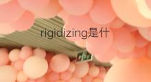 rigidizing是什么意思 rigidizing的中文翻译、读音、例句