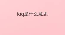 iaq是什么意思 iaq的中文翻译、读音、例句