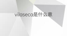 vilaseca是什么意思 vilaseca的中文翻译、读音、例句