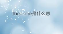 theanine是什么意思 theanine的中文翻译、读音、例句