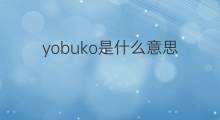 yobuko是什么意思 yobuko的中文翻译、读音、例句