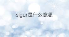 sigur是什么意思 英文名sigur的翻译、发音、来源