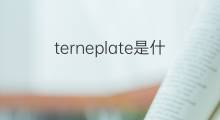 terneplate是什么意思 terneplate的中文翻译、读音、例句