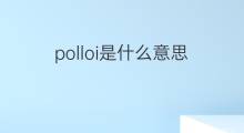 polloi是什么意思 polloi的中文翻译、读音、例句