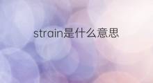 strain是什么意思 strain的中文翻译、读音、例句