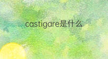 castigare是什么意思 castigare的中文翻译、读音、例句