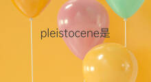 pleistocene是什么意思 pleistocene的中文翻译、读音、例句