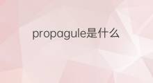 propagule是什么意思 propagule的中文翻译、读音、例句