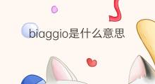 biaggio是什么意思 英文名biaggio的翻译、发音、来源