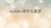 walden是什么意思 walden的中文翻译、读音、例句