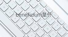 beneficium是什么意思 beneficium的中文翻译、读音、例句