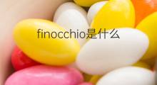 finocchio是什么意思 finocchio的中文翻译、读音、例句