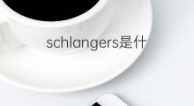 schlangers是什么意思 schlangers的中文翻译、读音、例句