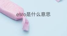 esro是什么意思 esro的中文翻译、读音、例句