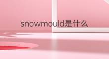 snowmould是什么意思 snowmould的中文翻译、读音、例句