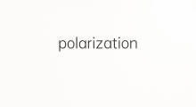polarization是什么意思 polarization的中文翻译、读音、例句