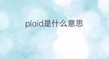plaid是什么意思 plaid的中文翻译、读音、例句