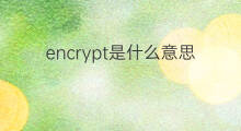 encrypt是什么意思 encrypt的中文翻译、读音、例句