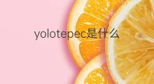 yolotepec是什么意思 yolotepec的中文翻译、读音、例句