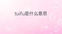 tuifu是什么意思 tuifu的中文翻译、读音、例句