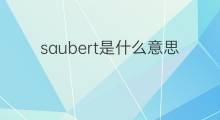 saubert是什么意思 saubert的中文翻译、读音、例句