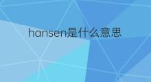 hansen是什么意思 hansen的中文翻译、读音、例句