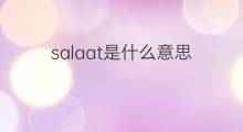 salaat是什么意思 salaat的中文翻译、读音、例句