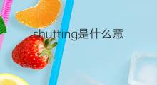 shutting是什么意思 shutting的中文翻译、读音、例句
