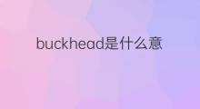 buckhead是什么意思 buckhead的中文翻译、读音、例句