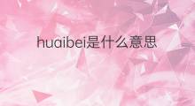 huaibei是什么意思 huaibei的中文翻译、读音、例句